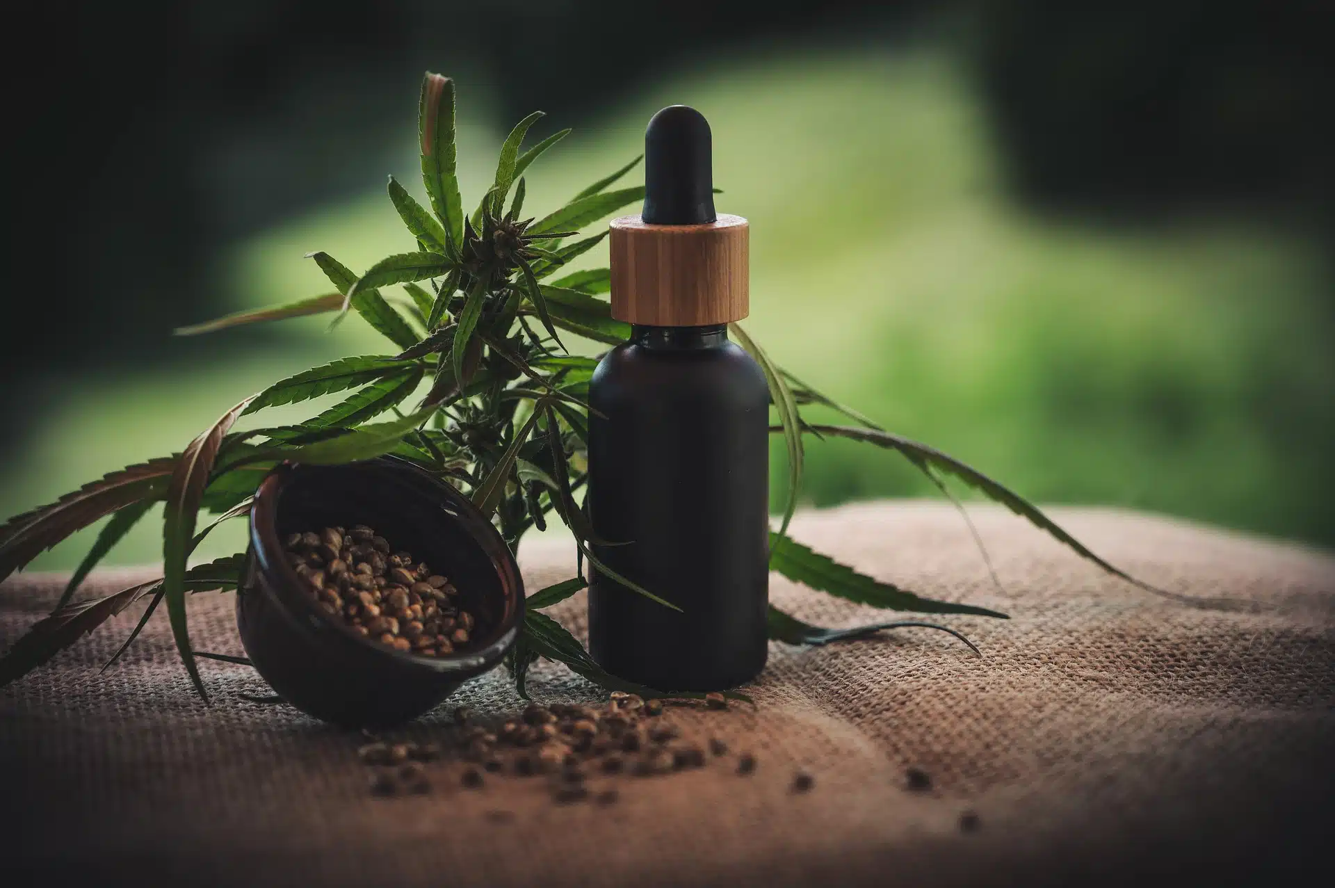 Quel est le meilleur site pour acheter du CBD ?